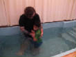 Baptism/12469596_863416623771366_5101851719511760922_o.jpg